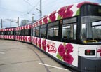 Tram